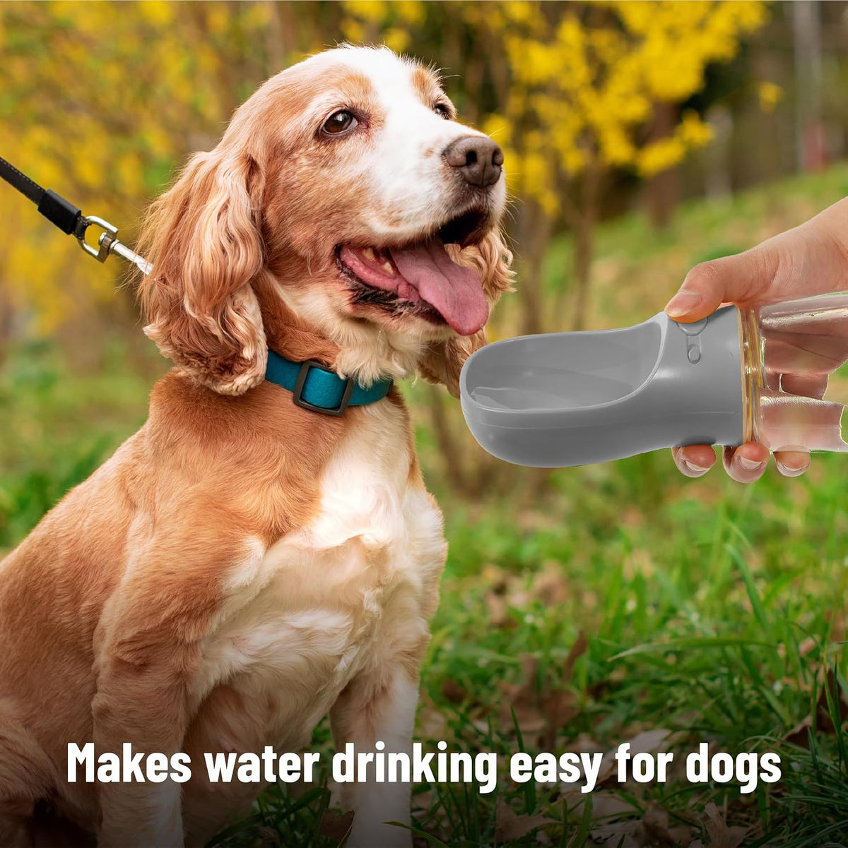 Mr. Pen, Portable Dog Water Bottle - Gray - image 4