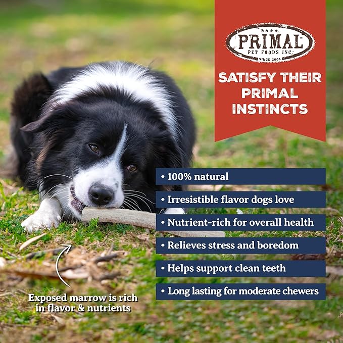 Primal Antlers for Dogs, Grade A Split Elk Antlers for Large Canines 30-45 lb, Natural Chews for Aggressive Chewers, Naturally Shed, Long Lasting Dog Bones, 1 ct