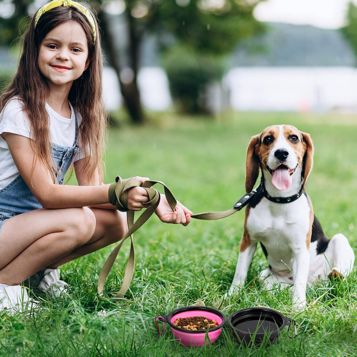 Dog Bowl Pet Collapsible Bowls - Small / Black & Pink - image 3
