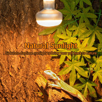 REPTI ZOO 2 Pack Heat Lamp 100W - Natural Basking Light Bulb 75W - image 2