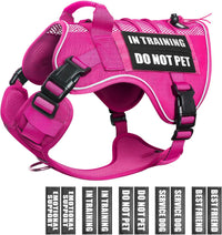 WINSEE Service Dog in Training Mesh Harness with 10 Removale Pet - Medium / Pink