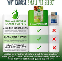 Small Pet Select - Healthy Snackers - Carrot/Pineapple