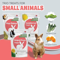 Snout and Shell Small Animal Treats – Pea Flakes, Dandelion Leaf (1oz), Marigold Flowers (0.5oz) – Natural Foraging Snacks for Rabbits, Guinea Pigs, Chinchillas, Hamsters & More