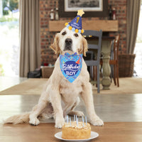 Dog Birthday Hat Bandana Set, Blue Plaid Boy Dog Bandana - X-Large / Sky Blue Boy - image 2