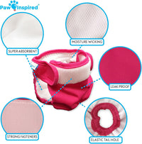 Paw Inspired Washable Dog Diapers, Assorted and White Lining - Assorted (White Lining) / Large (2 ct.) - image 4