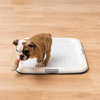 IRIS USA Pee Pad Holder - For Potty Training Regular Sized Dog & Puppy Pee Pads, Secured Latches, Non-Skid Feet, Leak Protection, Fits 22"x22" Pad or Larger, Square, Navy