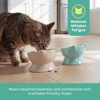 Kitty City Elevated Cat Bowls - Beige & Teal / Small - image 4