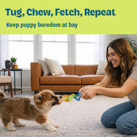 Cool Teething Stick Dental Dog Chew Toy, Soak & Freeze, 8.5" – Essentials for Dogs - Multi - image 4