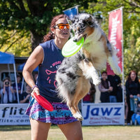 Hyperflite K-10 Jawz Puncture Resistant Dog Flying Disc - Glow - image 2