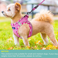 haapaw Dog Harness with Leash Set - L / Pink - image 4
