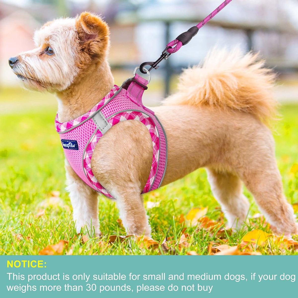 haapaw Dog Harness with Leash Set - L / Pink - image 4