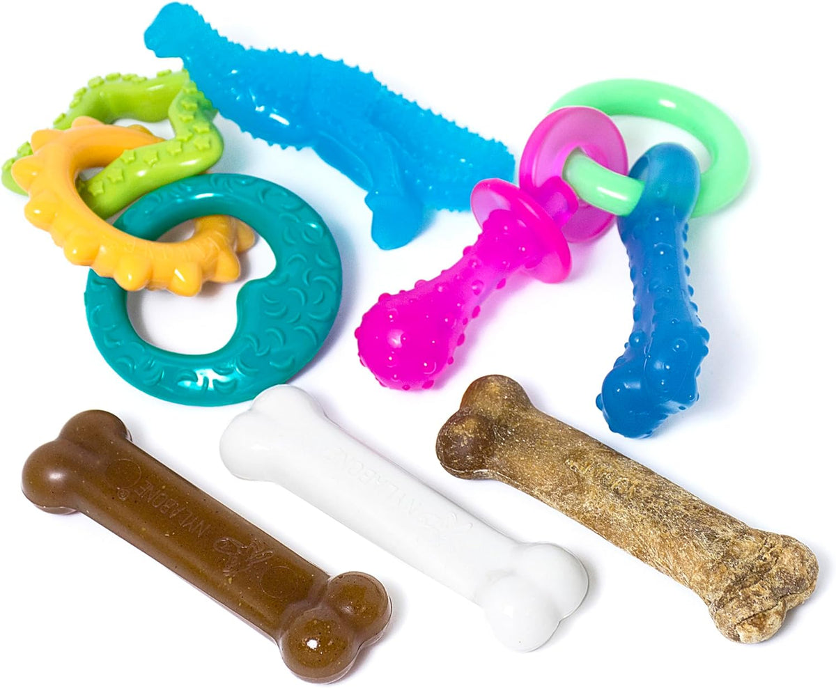Nylabone Puppy Pacifier Chew Toy - Bundle / Small