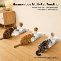 RFID Automatic Cat Feeder, Collar Sensor for Personalized Meals – Essentials for Cats - White - image 4