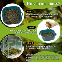 Sukh Sphagnum Moss for Reptiles, Green Terrarium Moss Substrate - 5.5 Ounces / Green - image 3