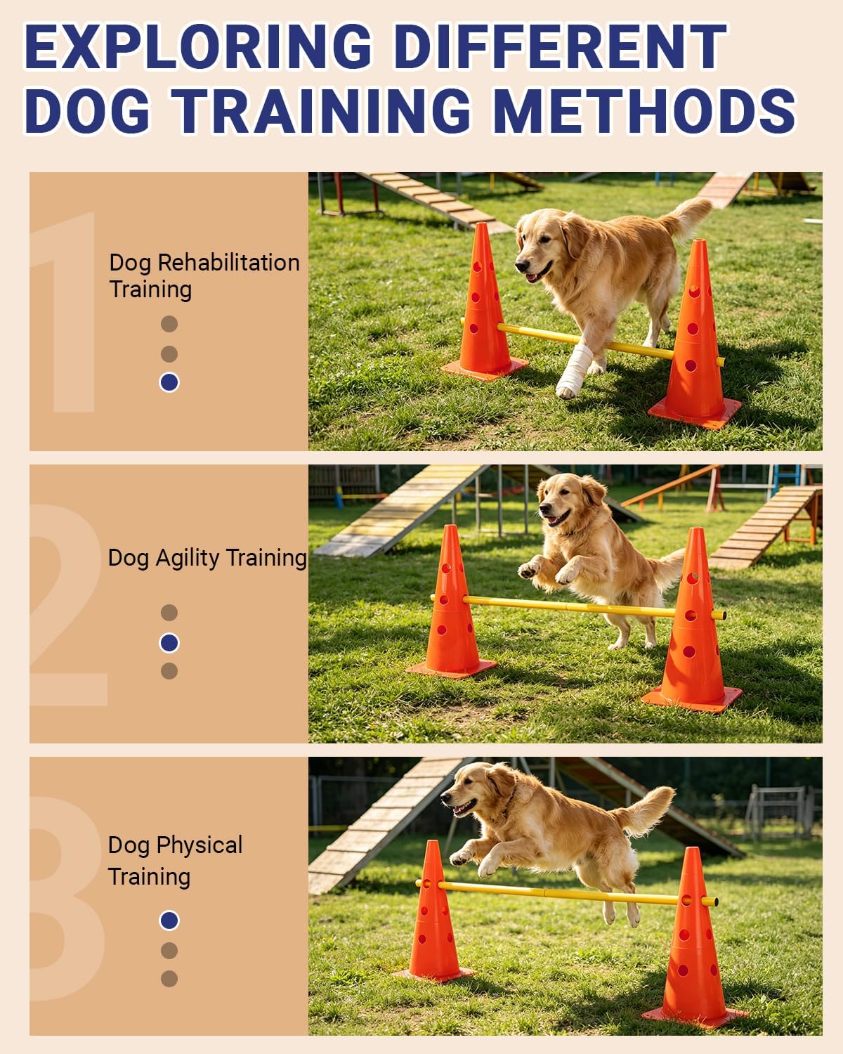 Dog Agility Course Backyard Set - 18 IN / Orange - image 3