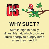 C&S Sunflower Suet Nuggets, Suet Nuggets for Wild Birds, 8 Lbs