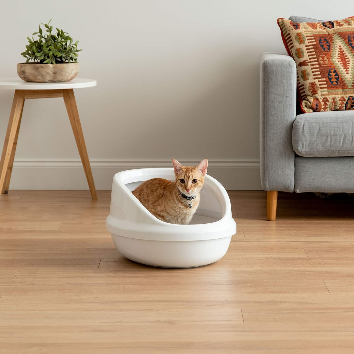 IRIS USA Large Open Top High-Sided Cat Litter Box with Scoop Oval Pan - image 3