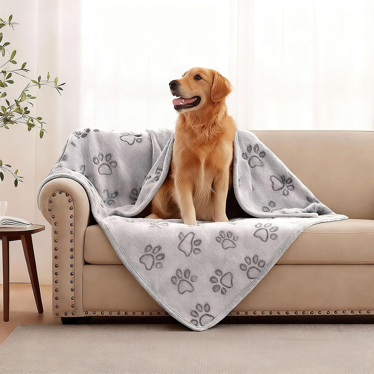 41" x 30" Dog Blankets for Medium Dogs, Cat - 63" x 42" / Grey / 1 - image 2