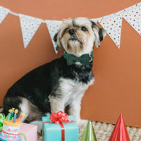 Green Dog Collar with Bow Tie, Christmas Bowtie Dog Collar M – Essentials for Dogs - M / Green - image 4
