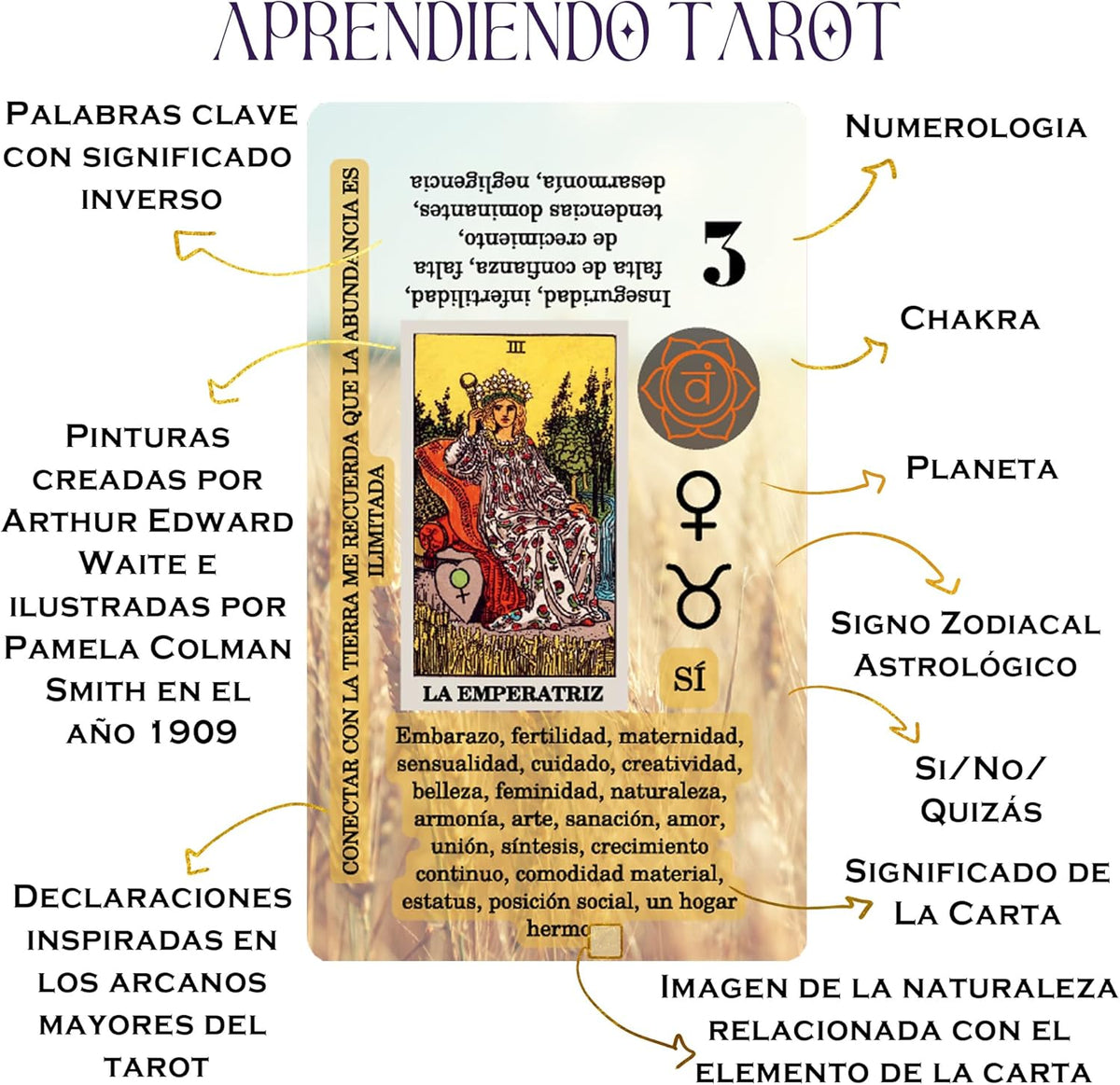 Witchy Cauldron Tarot Cards for Beginners with Meanings on Them - Spanish - image 3