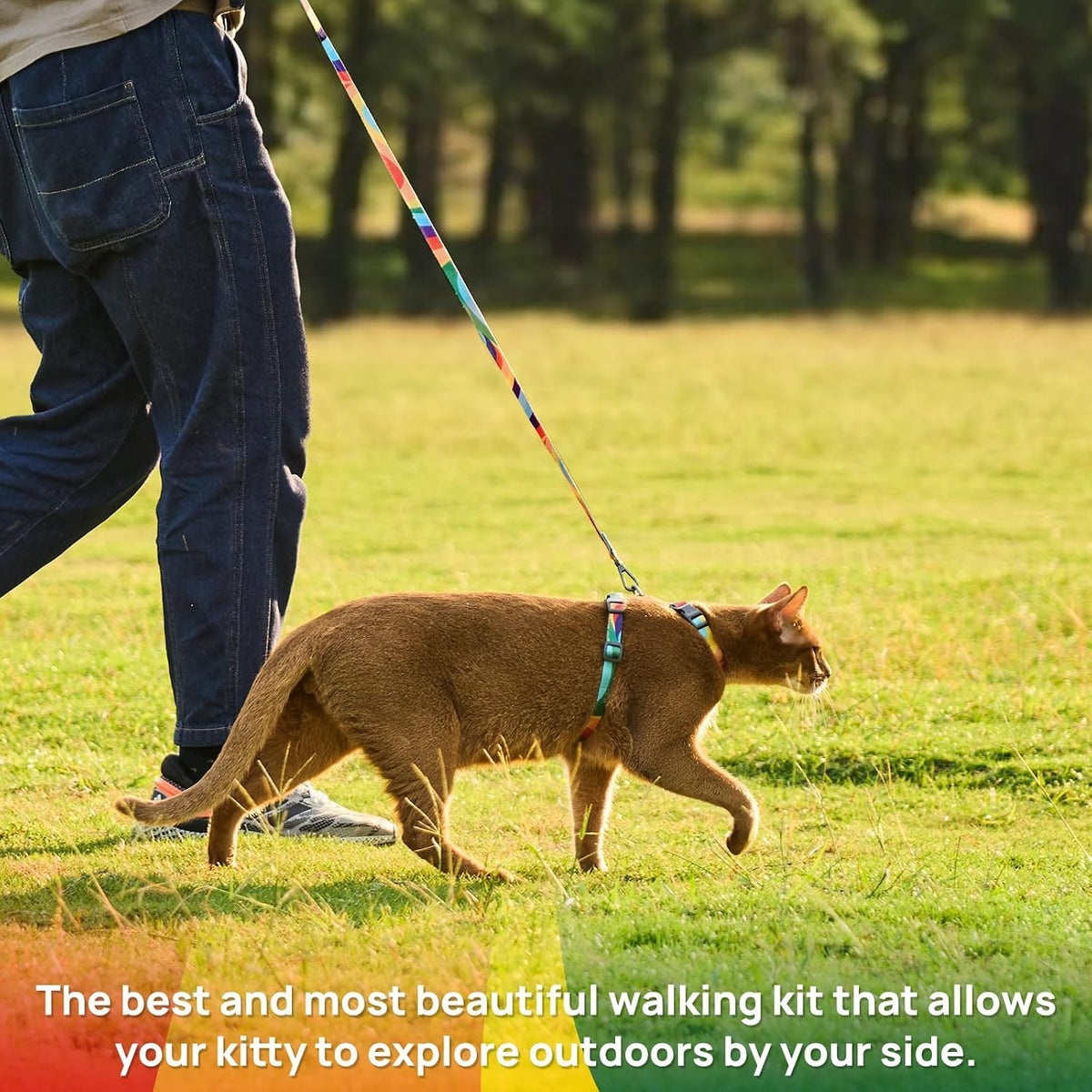 Adjustable Cat Harness and Leash Set Escape Proof – Essentials for Cats - Yellowstone Park, Adjustable - image 2