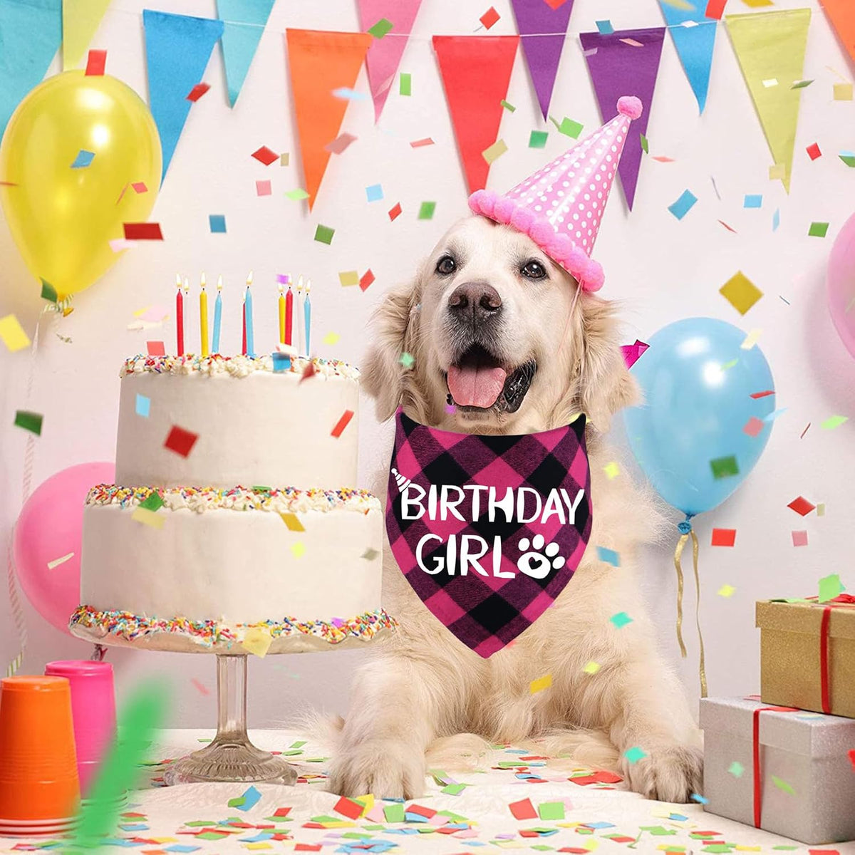 STMK Dog Birthday Bandana - X-Large / Pink - image 3