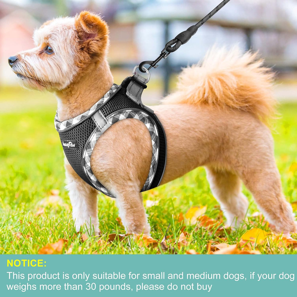 haapaw Dog Harness with Leash Set - XS / Black - image 4