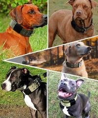 Dog Collar for Large Dogs, with Handle 2" Wide Heavy Duty - Green / M - image 4