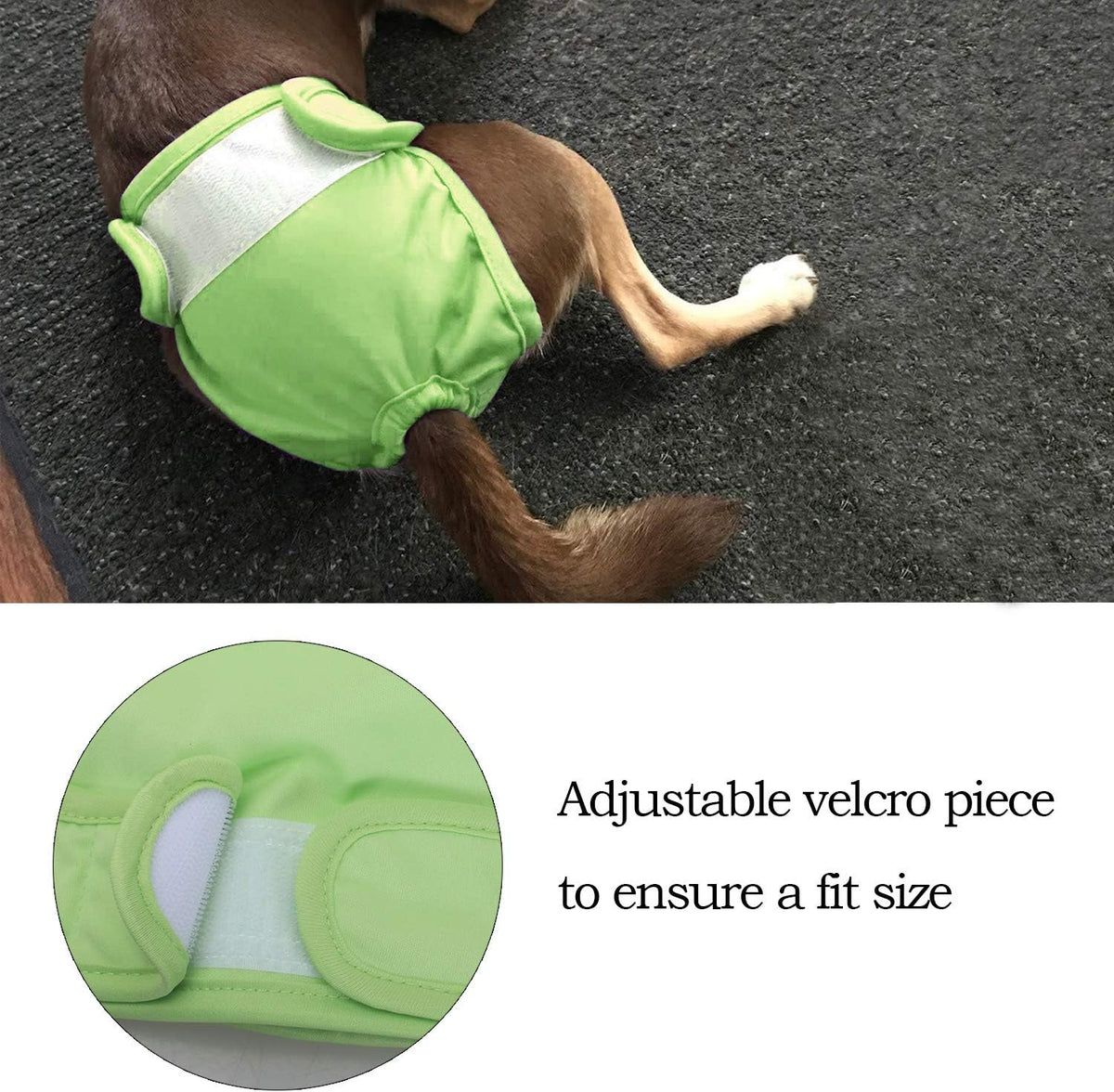Teamoy Female Dog Diapers, Washable Doggie Period Diaper - XS (Pack of 4) / Flamingo+ Cloud+ Green+ Pink (4pcs) - image 4