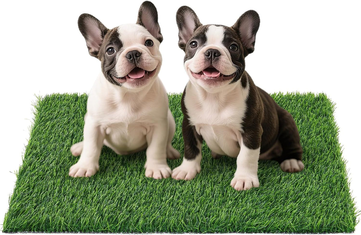 Replacement Artificial Grass Pee Pads for Dogs Potty Training to Pee - L-33.2"X20.8"