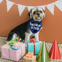 STMK Dog Birthday Bandana - Small / Blue - image 2