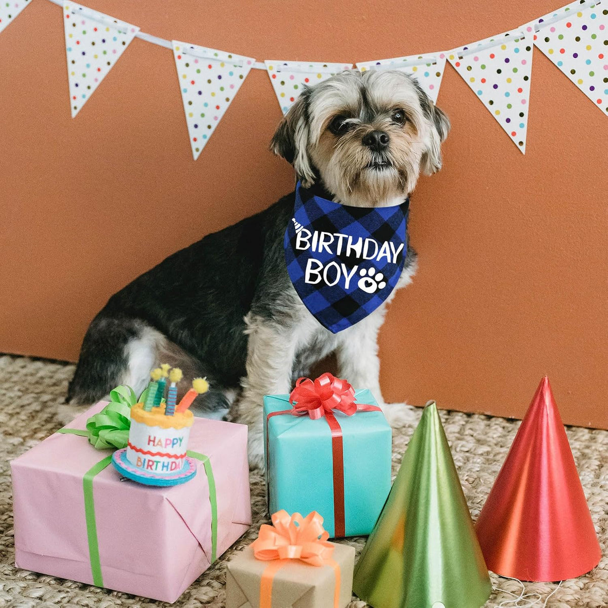 STMK Dog Birthday Bandana - Small / Blue - image 2