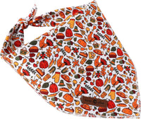 Lionet Paws Spring Daisy Dog Bandana Washable Cotton Handkerchief - Harvest Autumn / Large (Pack of 1) - image 2