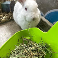 Blue Mountain Hay | Fresh Teff Grass Hay (48 Ounce) | Low NSC, High Fiber, Healthy Weight Management | High-Altitude Hay Pet Food for Rabbits, Guinea Pigs, Chinchillas, Hamsters, and Other Small Pets