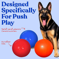 Doggie Dooley Virtually Indestructible Dog Ball - Blue / Large (10 in) - image 2