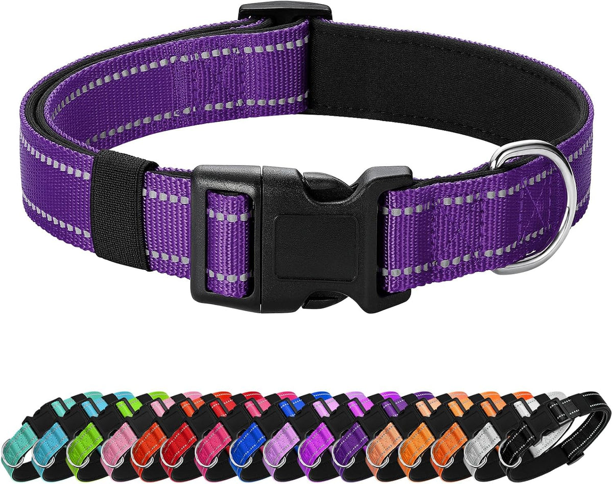 Reflective Dog Collar, Adjustable Nylon for Medium Dogs - Purple / M:width 3/4"neck 14-20.5"