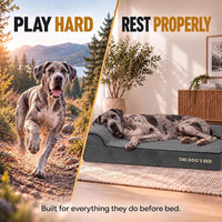 The Dog’s Bed Orthopedic Memory Foam Dog Bed with Headrest XL 6-Inch – Essentials for Dogs - Grey Plush / XXL (54"L x 36"W x 6"Th) - image 2