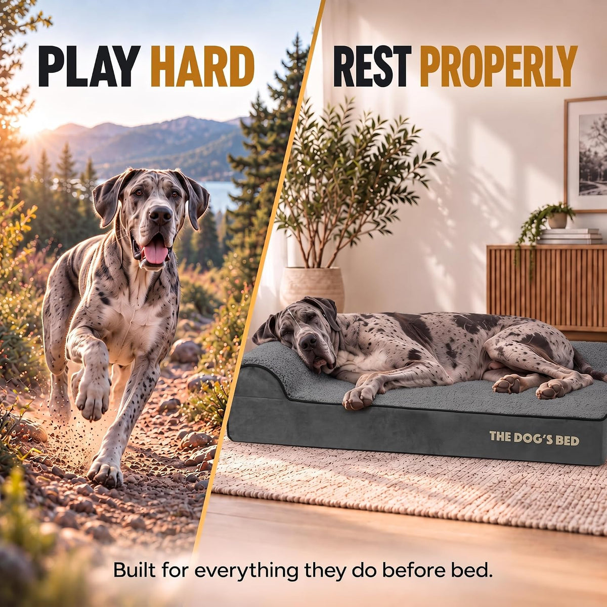 The Dog’s Bed Orthopedic Memory Foam Dog Bed with Headrest XL 6-Inch – Essentials for Dogs - Grey Plush / XXL (54"L x 36"W x 6"Th) - image 2
