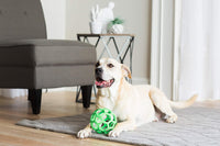 JW Pet HOL-ee Roller Dog Puzzle Ball, Large 5.5in - Colors May Vary / Large - image 2