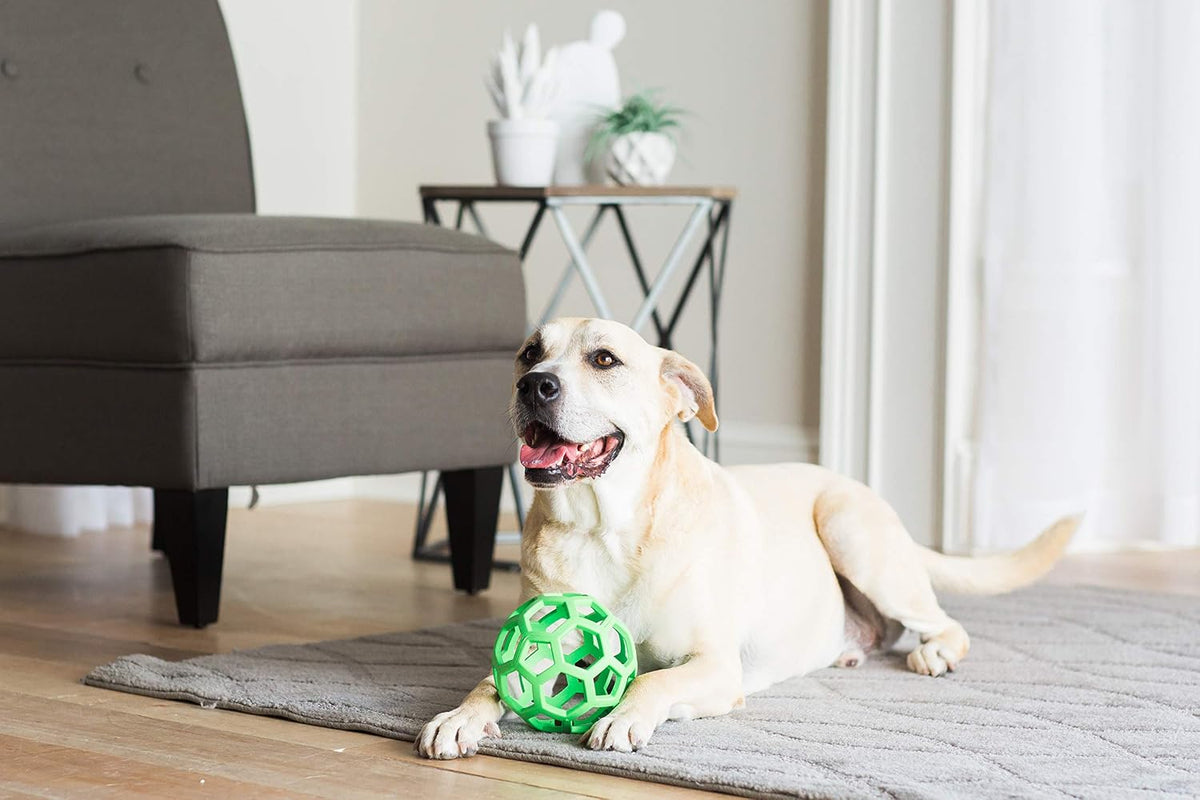 JW Pet HOL-ee Roller Dog Puzzle Ball, Large 5.5in - Colors May Vary / Large - image 2
