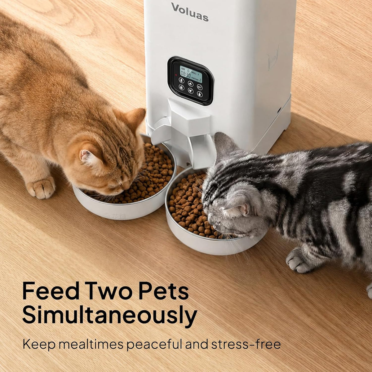VOLUAS Automatic Cat Feeder for Two Cats with Dual Stainless Bowls - White Opaque / 6L - image 3