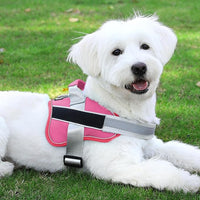 Bolux Dog Harness, No-Pull Reflective Dog Vest, Breathable Adjustable Pet Harness with Handle for Outdoor Walking - No More Pulling, Tugging or Choking (Fuchsia, Large (Pack of 1))