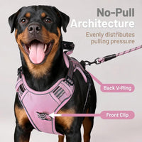 Dog Harness and Leash Set for Large Dogs - Pink / L - image 2