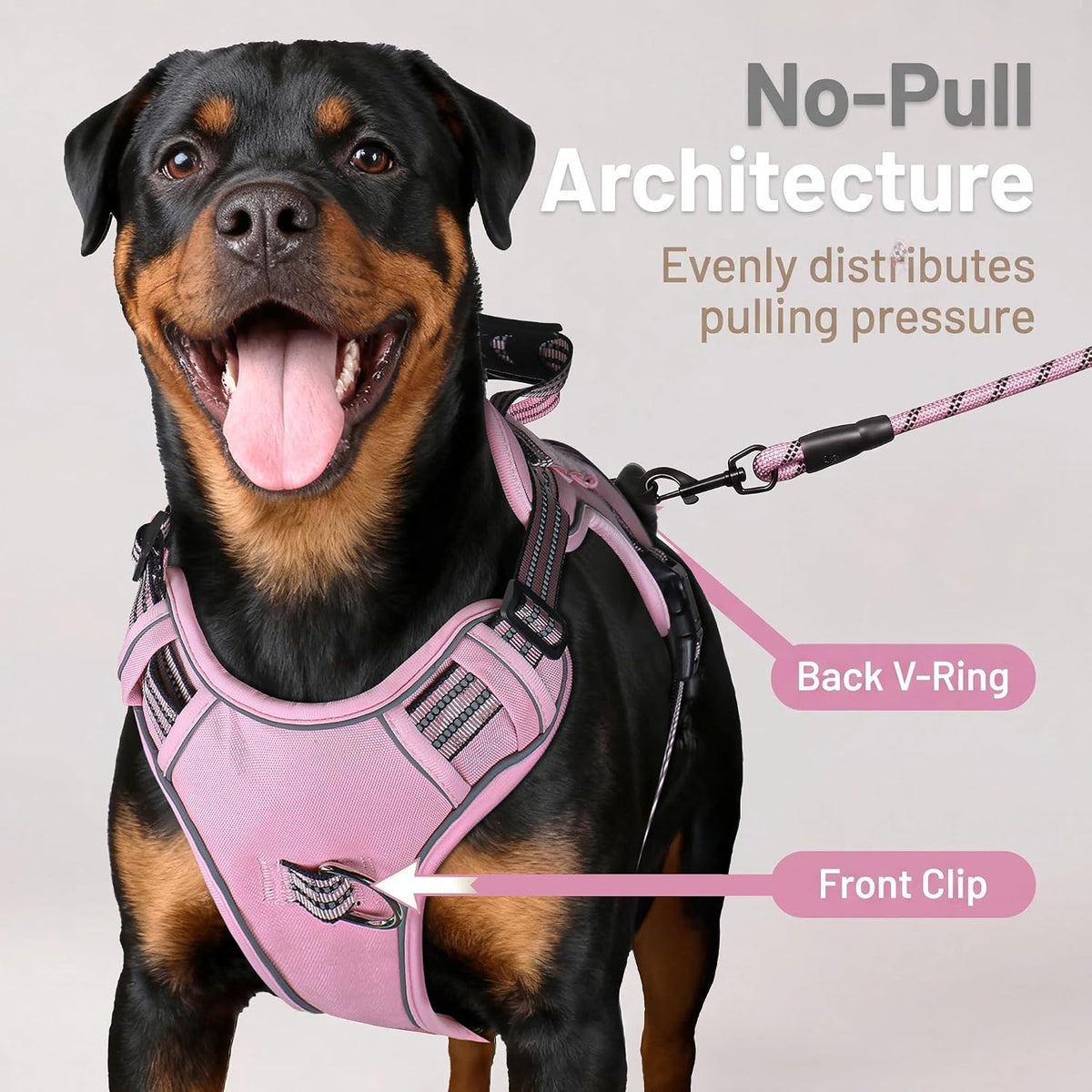 Dog Harness and Leash Set for Large Dogs - Pink / L - image 2
