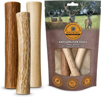 WhiteTail Naturals 12 Pack Whole Deer Antlers for Petite Dogs Up - Small (Pack of 3)