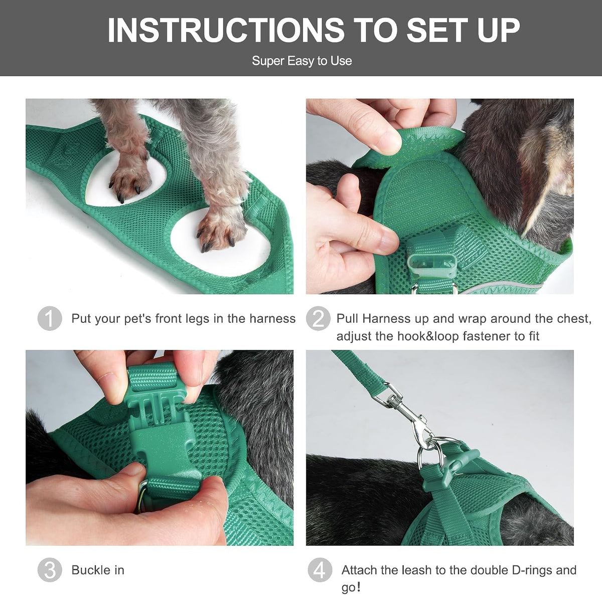 Fida Cat Harness and Leash Set for Walking Kitten and Puppy - XXXS (Neck:10.2"-11.4"; Girth:11.4"-12.6") / Turquoise - image 2