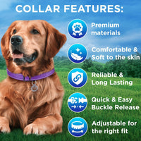 Reflective Neoprene Padded Dog Collar with Quick Release Buckle – Essentials for Dogs - Purple / Small - image 3