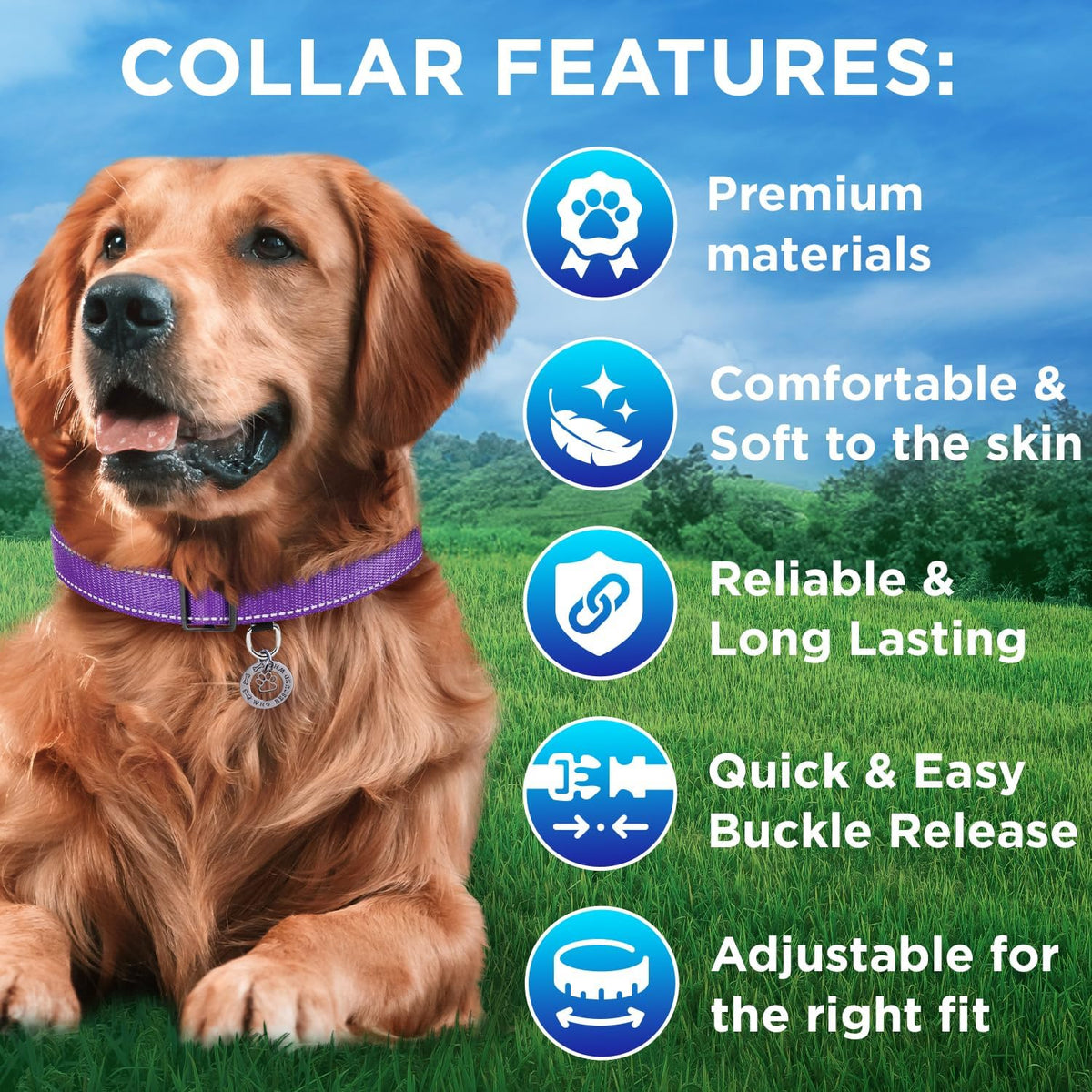 Reflective Neoprene Padded Dog Collar with Quick Release Buckle – Essentials for Dogs - Purple / Small - image 3