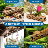 SunGrow 3 Pack Shrimp Cholla Wood - 3 Pieces - image 4