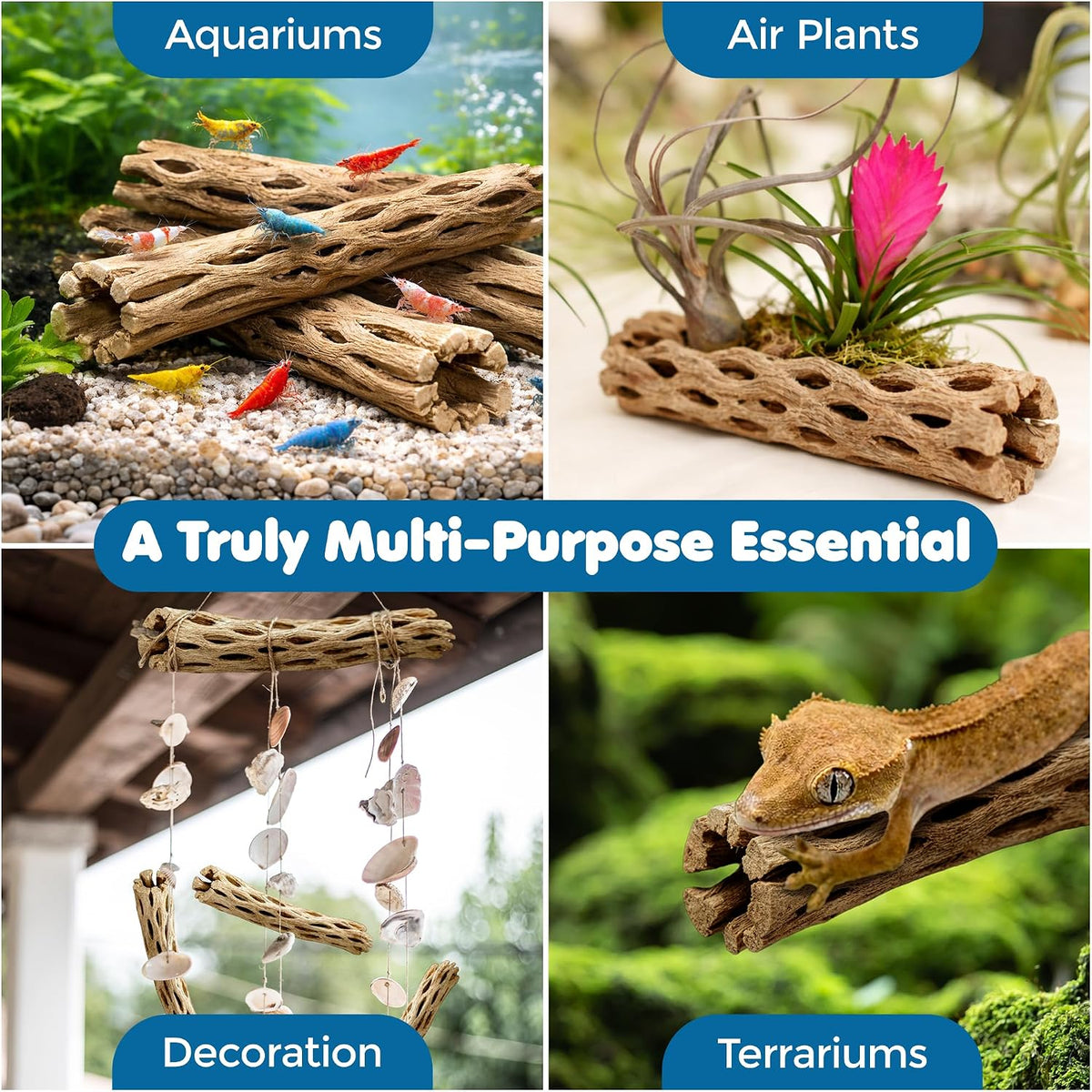 SunGrow 3 Pack Shrimp Cholla Wood - 3 Pieces - image 4